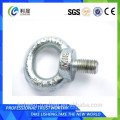 2015 Chinese supplier Din580 stainless steel anchor bolt